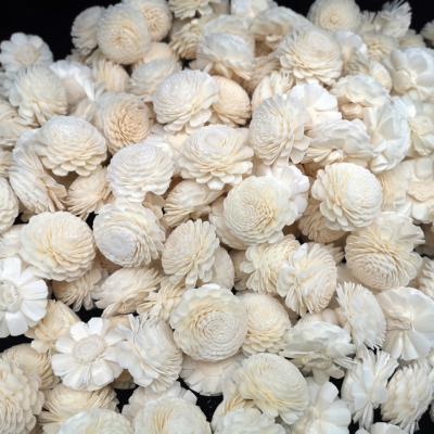 S001A04N  4.5CM Handmade Sola Flower Aromatherapy Helichrysum Bracteatum Dried Flower 