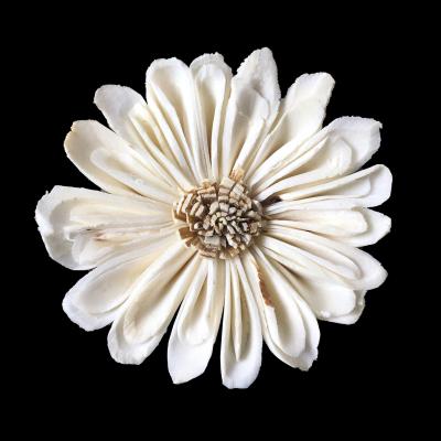 S673806N  Handmade 6CM Sola Flower Daisy for Graduation Home Decoration Flower